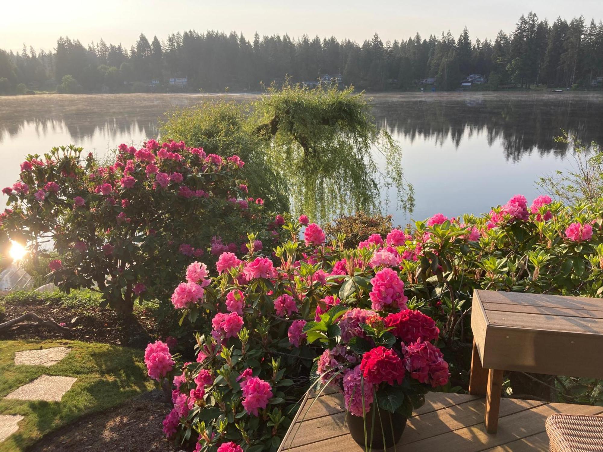 Cottage Lake Bed And Breakfast Woodinville Ngoại thất bức ảnh