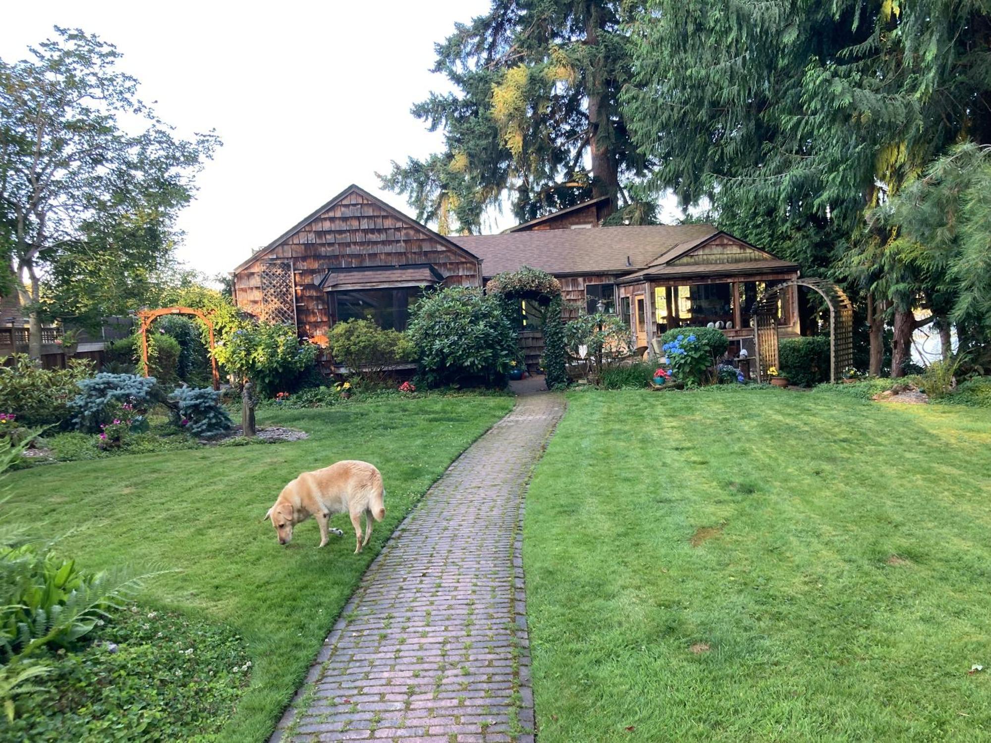 Cottage Lake Bed And Breakfast Woodinville Ngoại thất bức ảnh