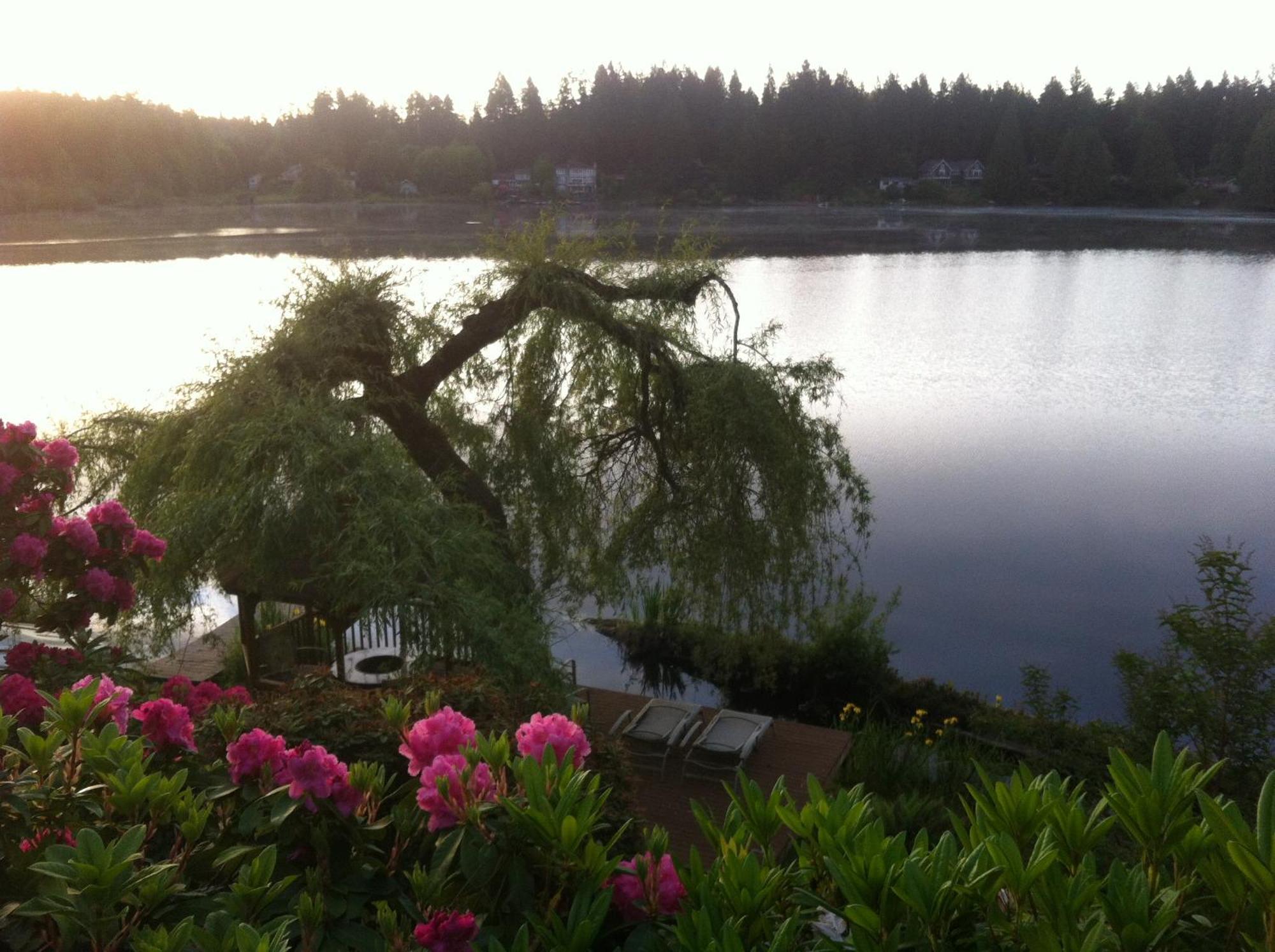 Cottage Lake Bed And Breakfast Woodinville Ngoại thất bức ảnh