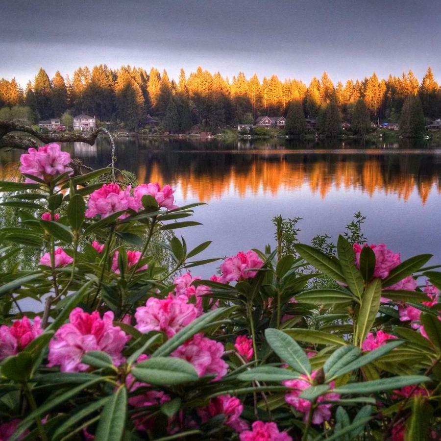 Cottage Lake Bed And Breakfast Woodinville Ngoại thất bức ảnh